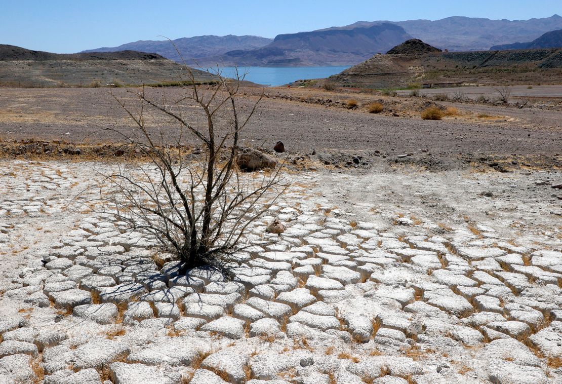 Lake Mead is seen in the distance behind a dead creosote bush in an area of dry, cracked earth that used to be underwater, near where the Lake Mead marina was once located.