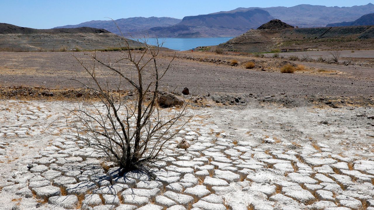 This area of dry, cracked earth used to be underwater near where the marina was once located in the Lake Mead National Recreation Area.