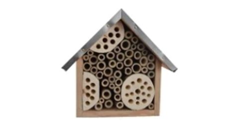 The Solitary Bee Project