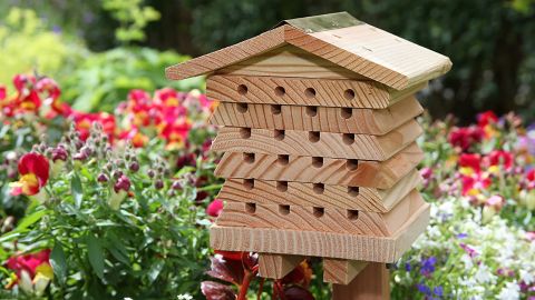 Wildlife World Interactive Solitary Beehive