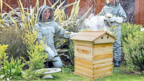LangLang Automatic Wooden Beehive House Kit