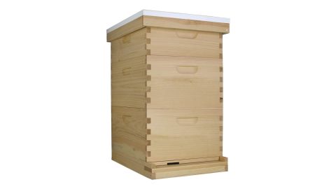 Busy Bees 'N' More Langstroth Bee Deep Brood Box