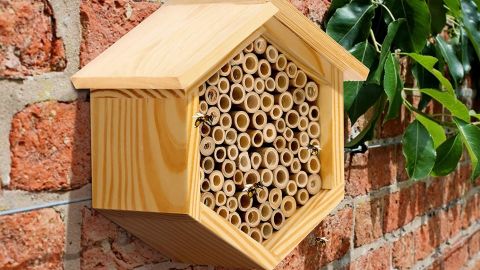 Maison Abeille Mason Bee House