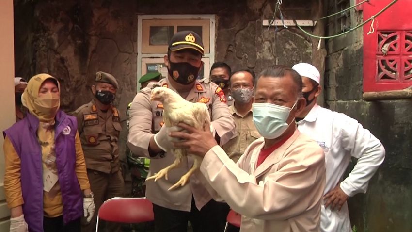 indonesia vaccine chicken for orig