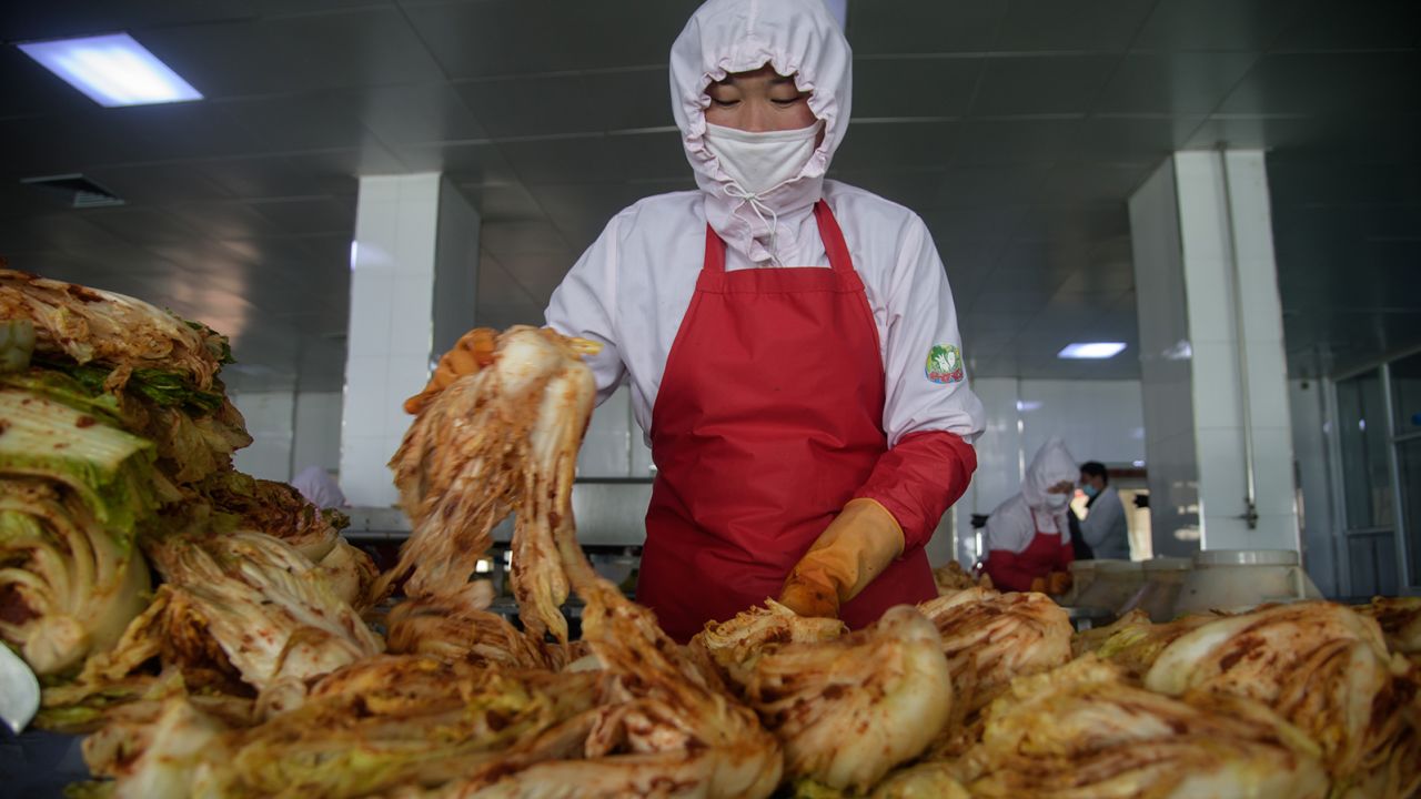 In a photo taken on December 1, 2020, a worker sorts cabbages on a factory production line in Pyongyang. 