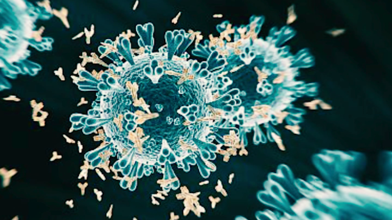 Unvaccinated people are ‘varia...