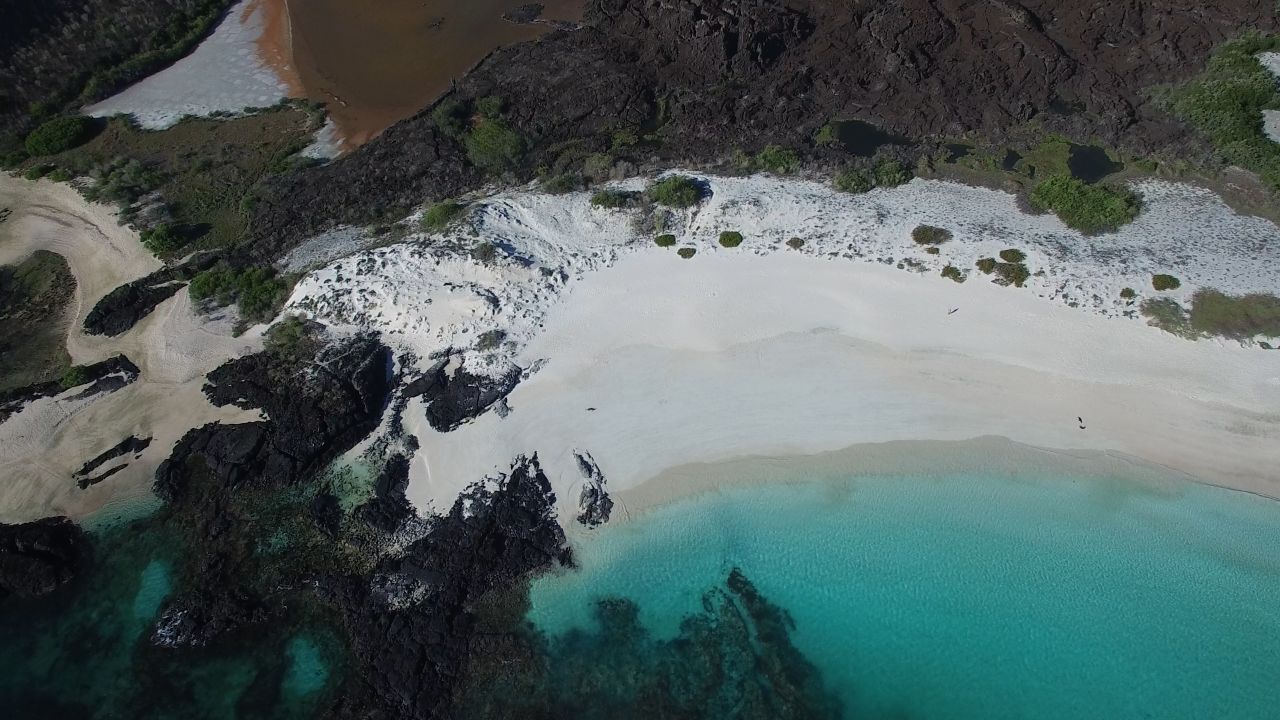 One project took her to the shores of the Galapagos Islands, a volcanic archipelago in the Pacific ocean, roughly 620 miles off the coast of Ecuador. Here, she was shocked to find vast evidence of plastic pollution, despite the remote nature of the islands and their few inhabitants.