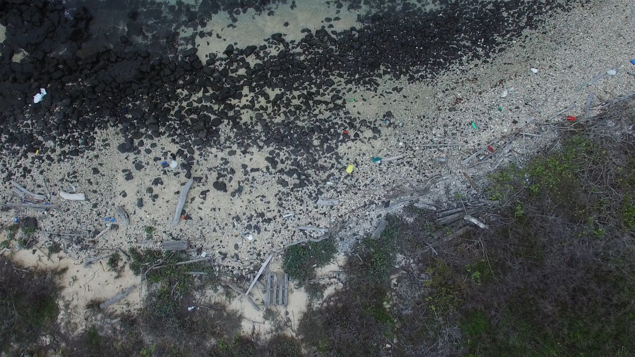 Mackay tells CNN that data gathered on one beach in the Galapagos found that you are never more than 43 centimeters (17 inches) away from a piece of trash. This information helped influence a decision by Galapagos authorities to ban Styrofoam takeaway containers and plastic bags across the archipelago, she says. 