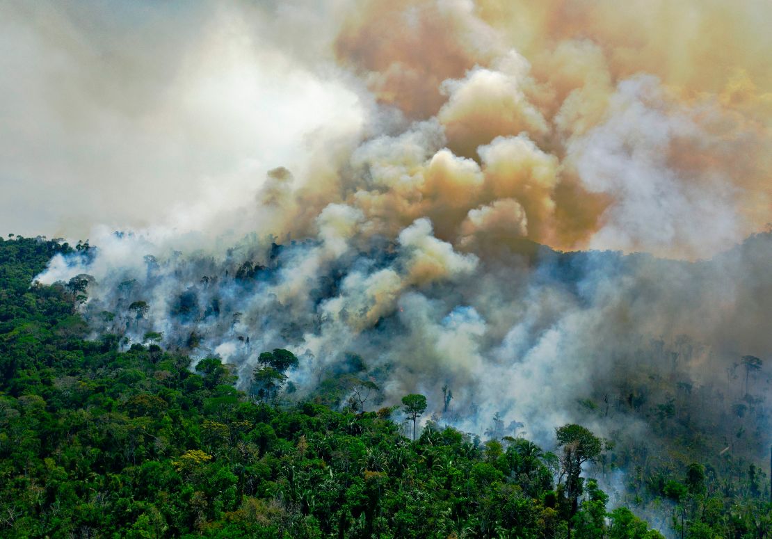 Aerial view of a burning area of Amazon rainforest reserve, south of Novo Progresso in Para state, on August 16, 2020.
