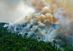A wildfire in the Amazon rainforest reserve in August 2020.