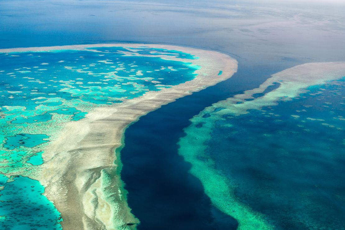 The Great Barrier Reef is the world's largest coral reef system and a vital marine ecosystem.