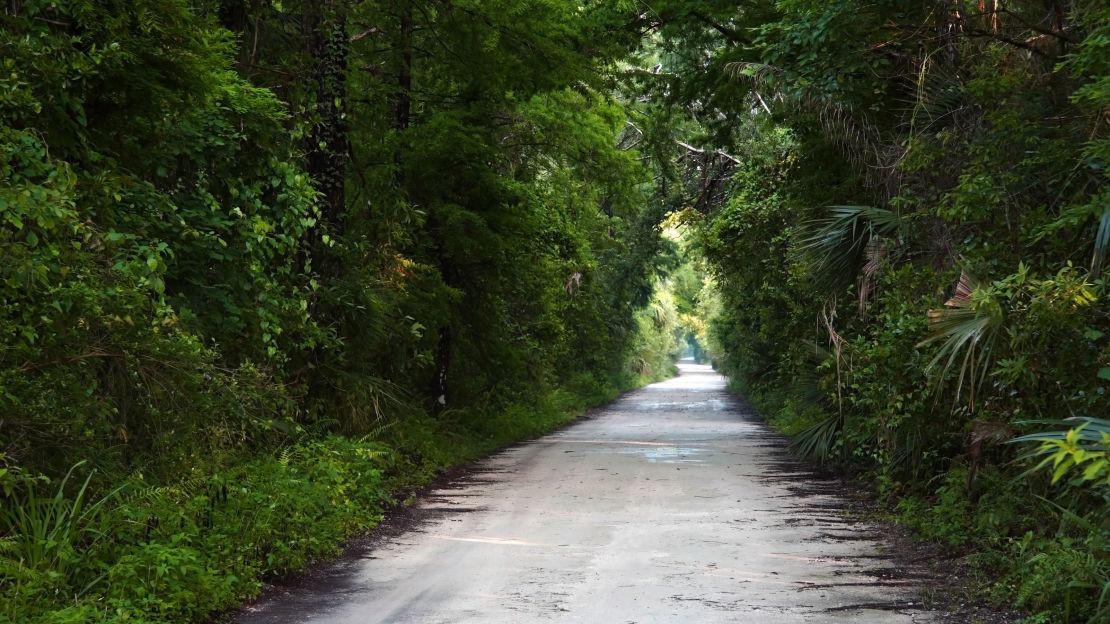 The unpaved Janes Scenic Highway runs through Fakahatchee Strand Preserve State Park.