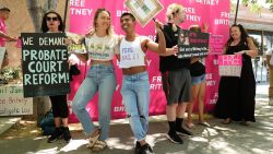 LOS ANGELES, CALIFORNIA - JUNE 23: #FreeBritney activists protest at Los Angeles Grand Park during a conservatorship hearing for Britney Spears on June 23, 2021 in Los Angeles, California. Spears is expected to address the court remotely.  Spears was placed in a conservatorship managed by her father, Jamie Spears, and an attorney, which controls her assets and business dealings, following her involuntary hospitalization for mental care in 2008. (Photo by Rich Fury/Getty Images)