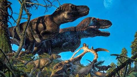 Researchers discovered embryos and just-hatched dinosaurs from seven species, leading them to believe the creatures lived year-round in the Arctic.