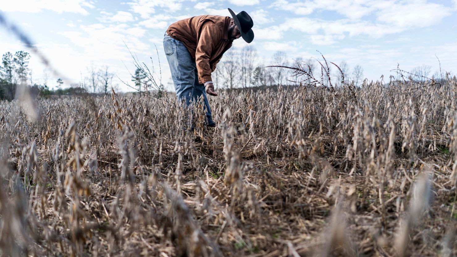 Fourth generation crop farmer John Boyd, and president of the Black Farmer's Association, checks the condition of a soybean field for harvesting in Baskerville, Virginia in January 2019.