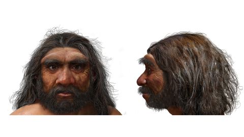 This illustration shows what Homo longi -- dragon man -- may have looked like. 