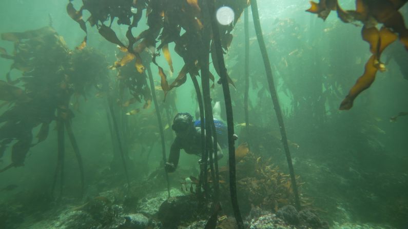 Pictured here among the kelp of the <a href="index.php?page=&url=https%3A%2F%2Fedition.cnn.com%2Ftravel%2Farticle%2Fsouth-africa-sea-forest-secrets%2Findex.html" target="_blank">African Sea Forest</a>, Ndhlovu went on to become the first Black female free dive instructor in South Africa. She quickly noticed its lack of diversity, and was always the only Black person on the boat, she says.