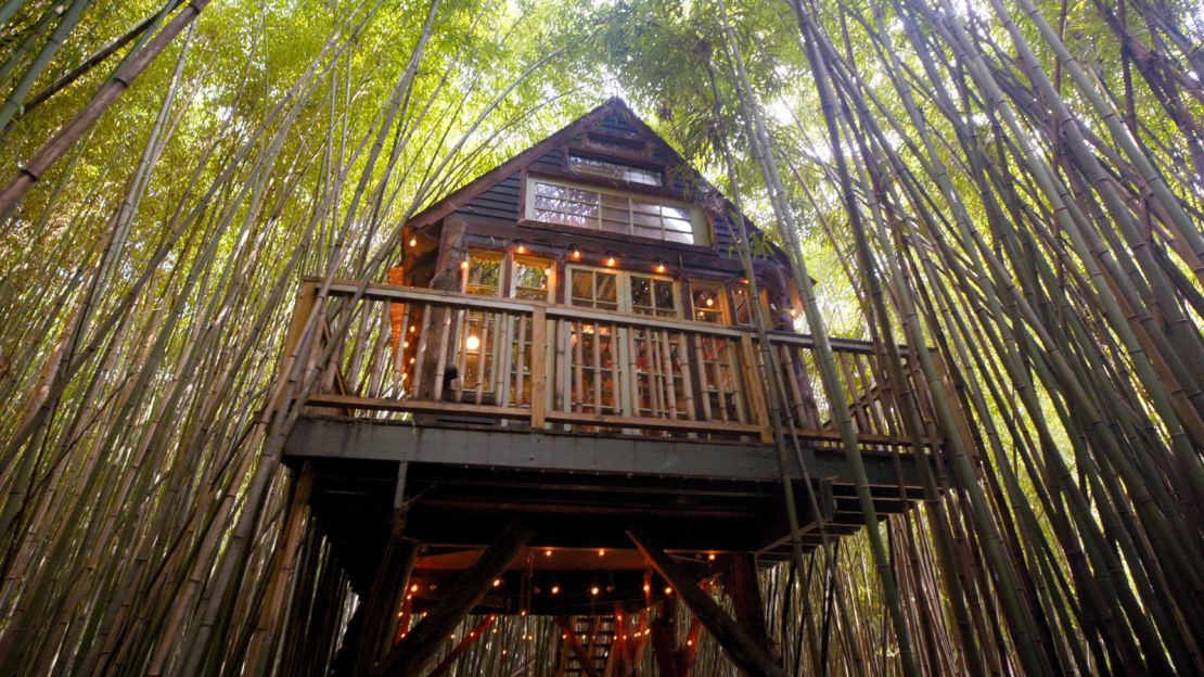 The Alpaca Treehouse in Atlanta is one of Airbnbs most wish-listed properties in the world.