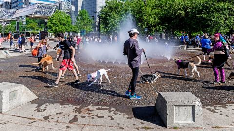 People and pets cool off at a spray park in Portland.