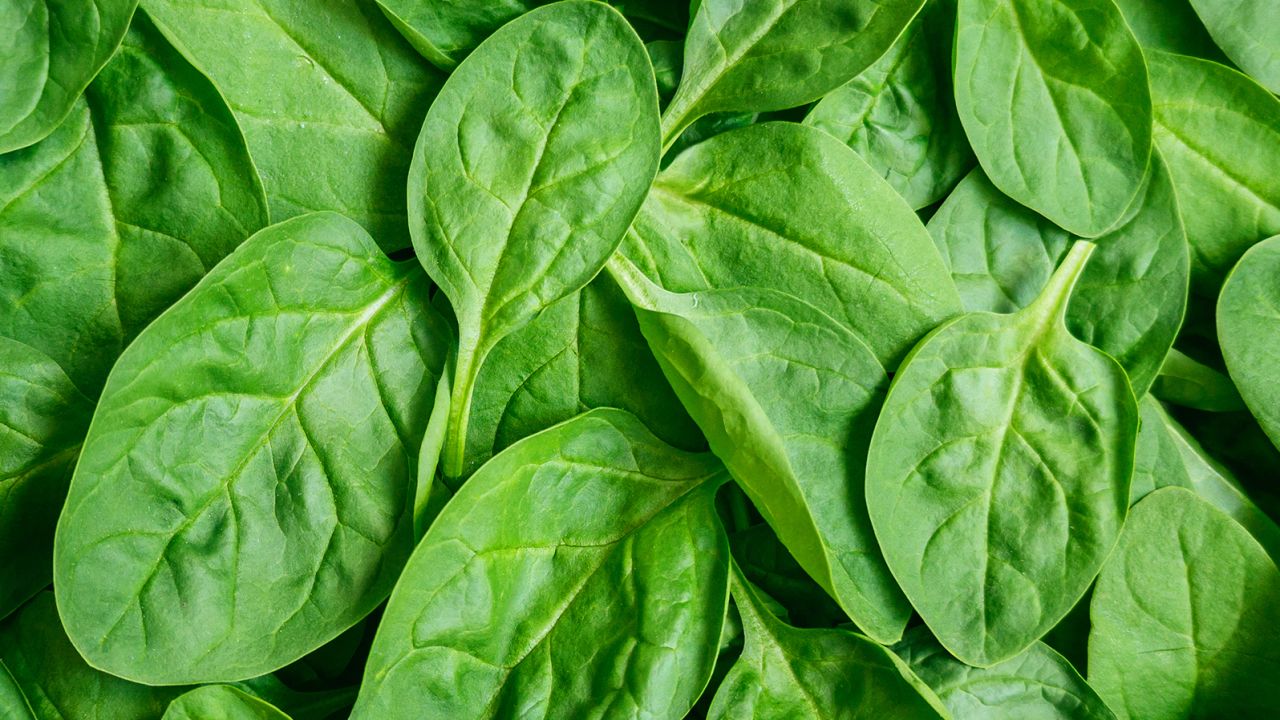 Your children might be more prone to eat spinach and other healthy vegetables if they're adding them to pasta dishes they are creating.