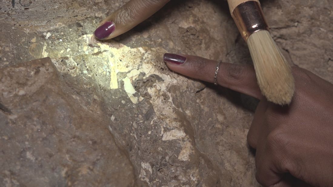 Much of the UW 105 site is comprised of malmani dolomite, a natural rock found in the area. But when the team comes across a block of sedimentary rock known as breccia, "we get excited because that's a potential fossil-bearing rock," explains Molopyane. 