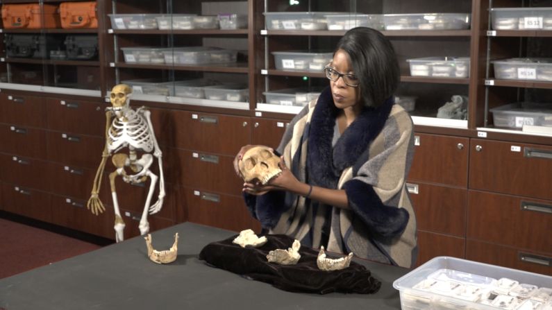 With pieces of the original Homo naledi fossil collection laying on the table in front of her, Molopyane shows a reconstruction of what scientists believe a complete skull from the species might have looked like, adding, "the preservation on these fossils are incredible. We don't get a lot of this at most fossil sites in the world."