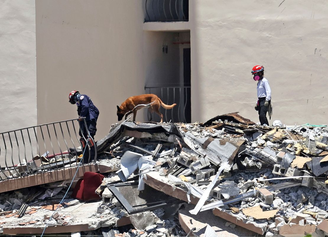 Rescue workers with dogs search for survivors at Champlain Towers South on Sunday.