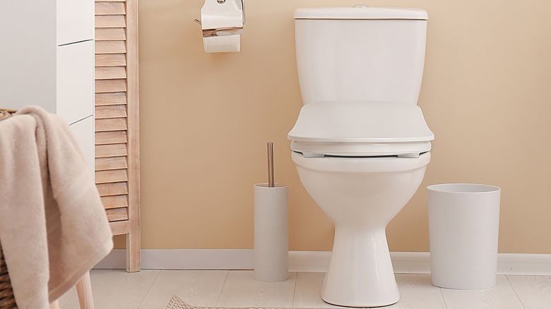 Bio Bidet Slim Three Electric Self-Cleaning Bidet Toilet Seat 