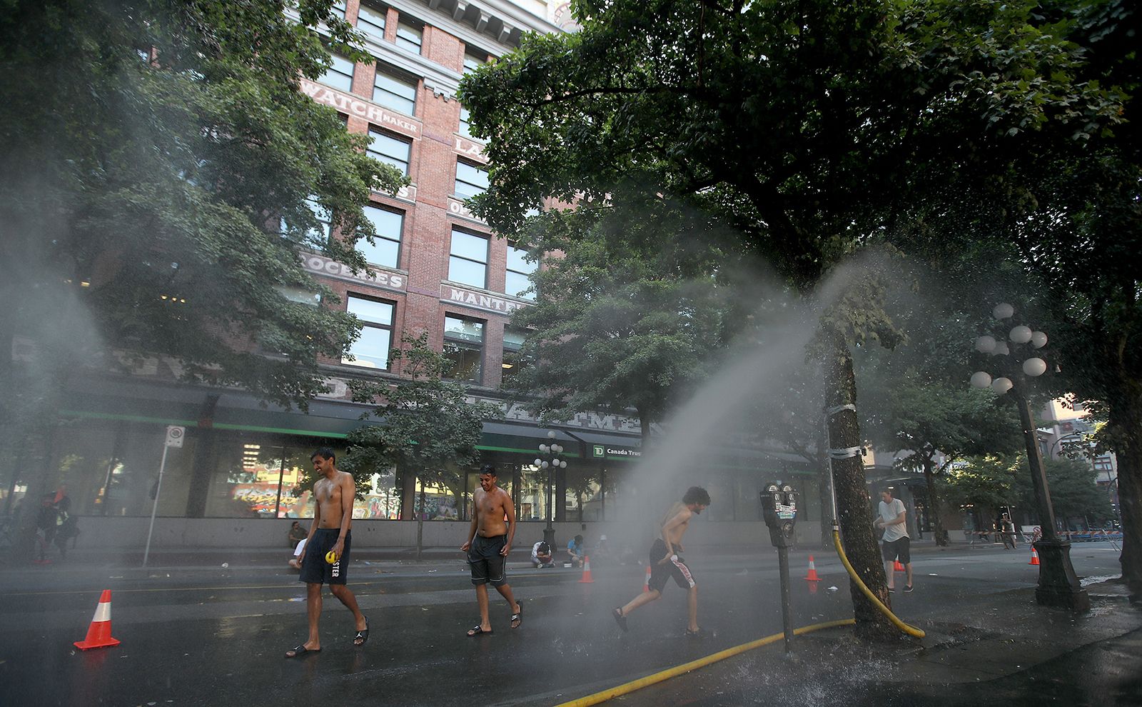 Canada heat wave: More than 230 deaths reported in British ...