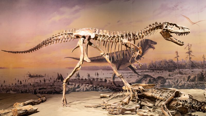 Dinosaurs were already struggling before the asteroid strike that doomed them to extinction, study finds | CNN