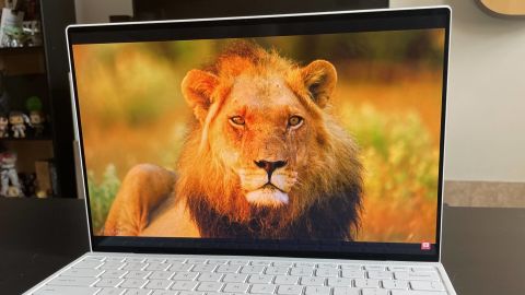xps 13 oled screen