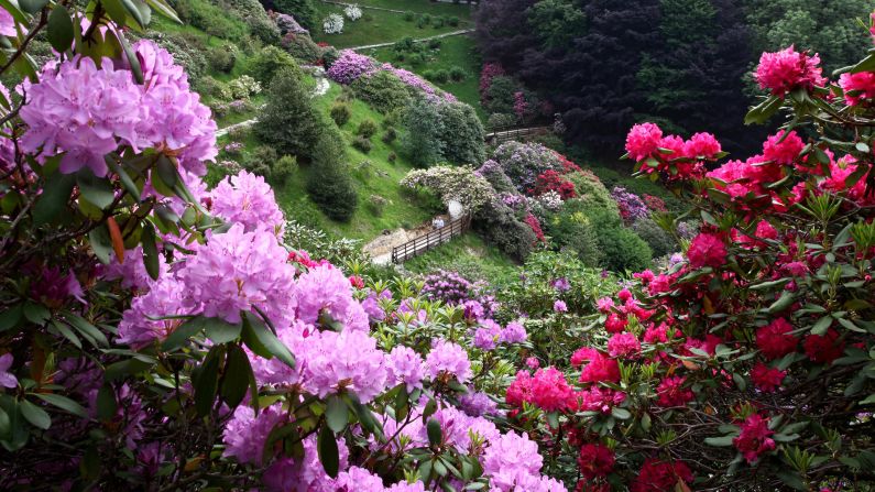 <strong>Big and beautiful:</strong> Oasi Zegna, in Piedmont, is 30 times the size of Central Park.