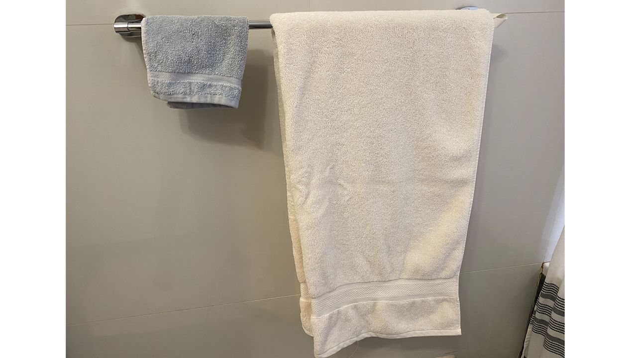 Crane & Canopy Classic Ivory Bath Towel