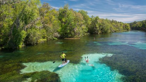 The Rainbow River is one segment of the Florida Wildlife Corridor, nearly 18-million acres of protected public and private lands in the state. 