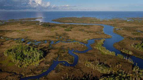 The Aucilla River's continued health depends on the protection of Florida Wildlife Corridor lands upstream.