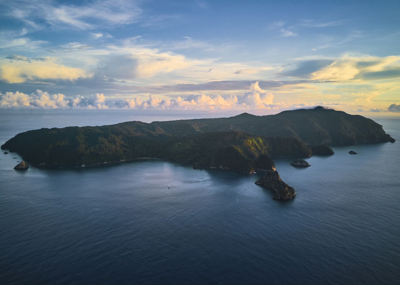 Cocos Island lies 340 miles off the coast of Costa Rica in the eastern tropical Pacific. Another 400 miles south are the Galapagos Islands. Both are considered safe havens for wildlife, and the waters surrounding each area are protected.