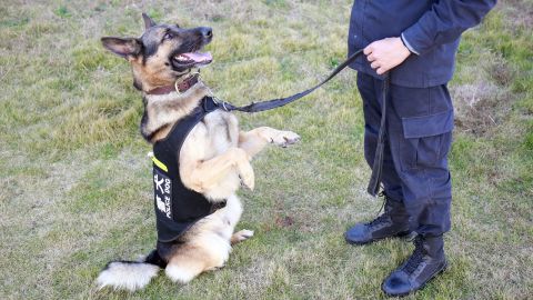 A trainer and police dog belonging to the patrol police brigade in China's Zhoushan City on December 9, 2020.