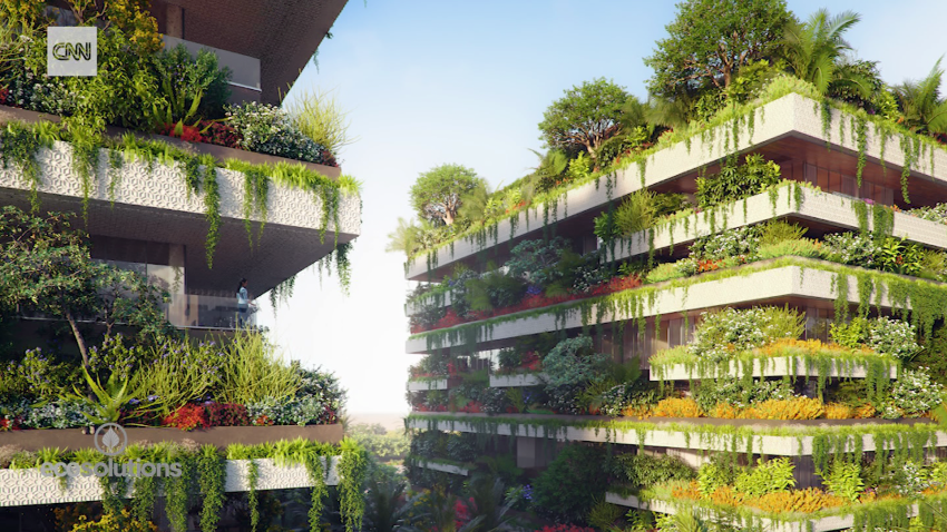 egypt vertical forest spc intl_00000000.png