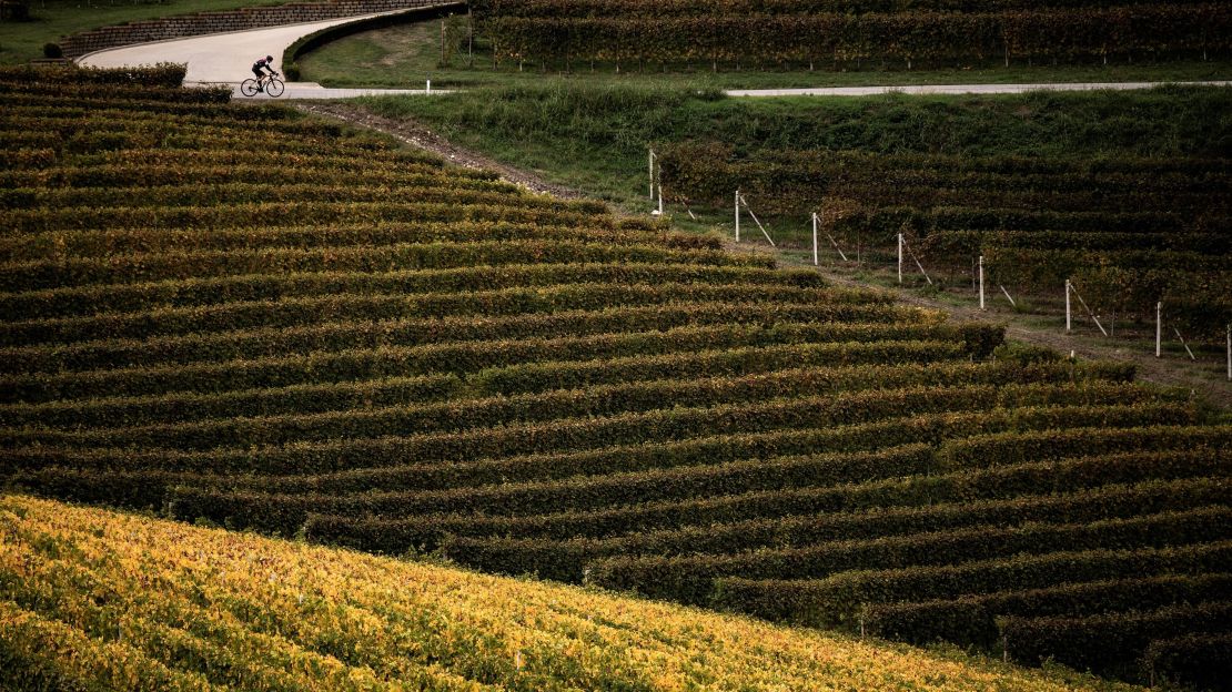 The train will pass through the wine region of Langhe, Piedmont.