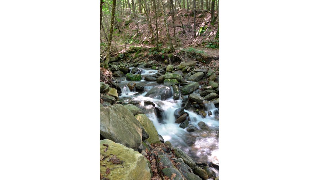 Negro Brook in Vermont flows through Townshend State Park. The brook is in the process of being renamed.