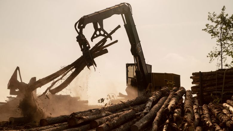 A log loader moves freshly cut trees in Northampton County, North Carolina.