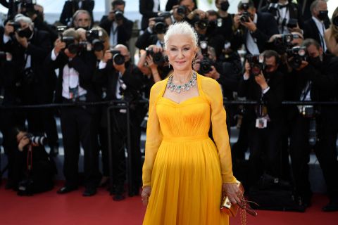 Helen Mirren caught the light in a sunny Dolce & Cabbana gown.