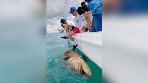Christian Pulisic has been criticized by conservationists for posting a video of himself performing football tricks above a goliath grouper fish, before falling into the water and landing on top of the vulnerable marine species. 