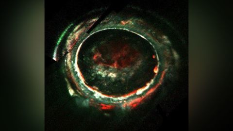 This image, created with data from Juno's Ultraviolet Imaging Spectrometer, marks the path of Juno's readings of Jupiter's auroras.
