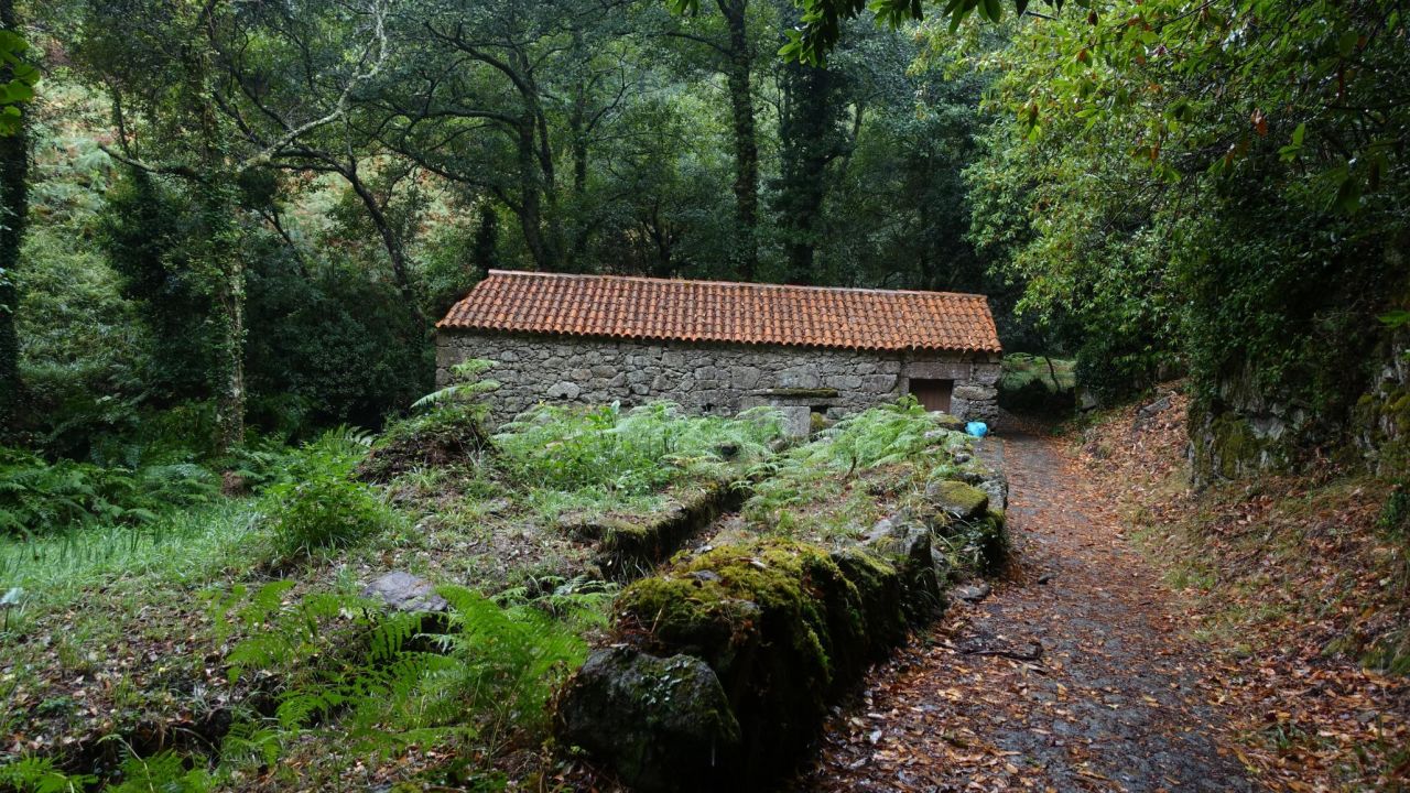 <strong>Architecture:</strong> Rustic buildings such as this mill are tucked away amid the greenery.