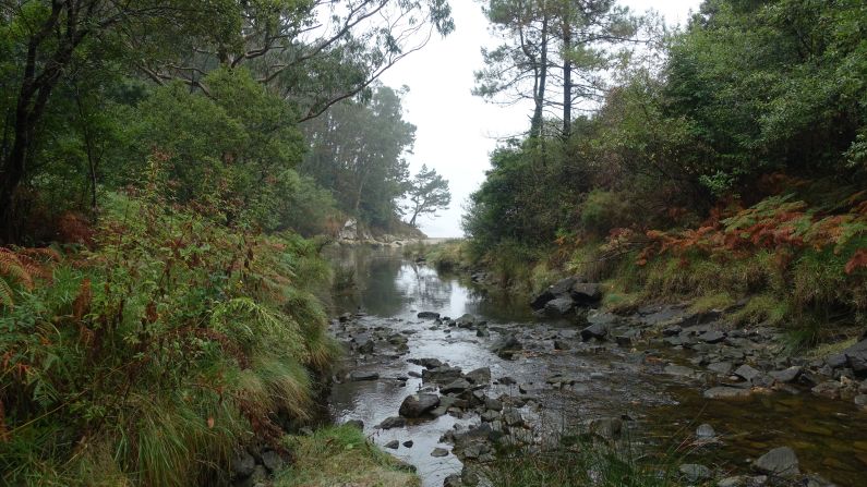 <strong>Terrain:</strong> The landscape varies greatly along the trail, veering from sandy beaches and windswept cliffs to lush forests.