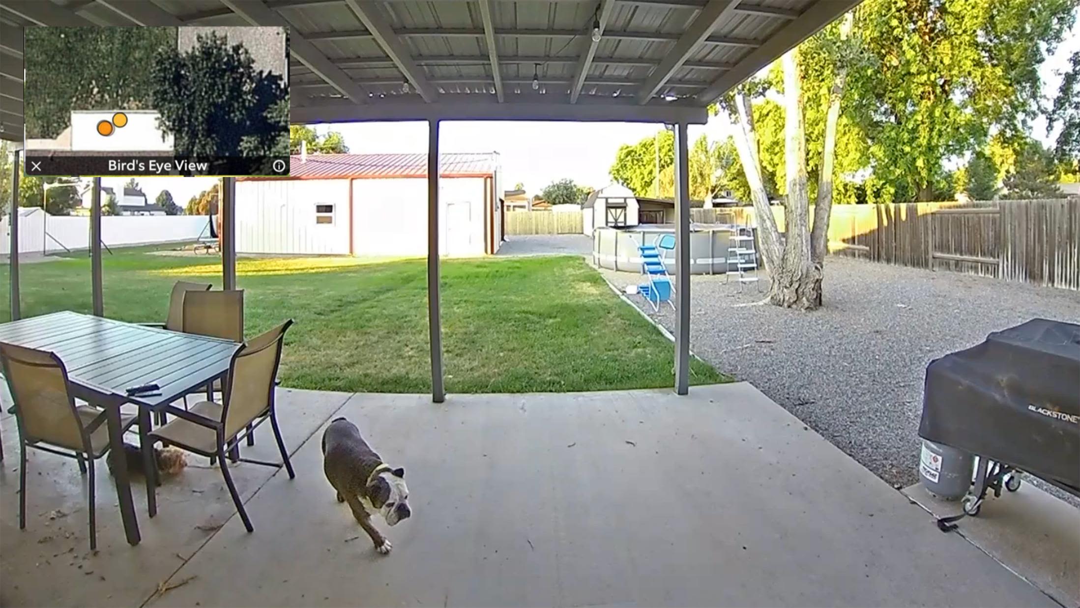 Video Doorbell Footage that Is Admissible in Court