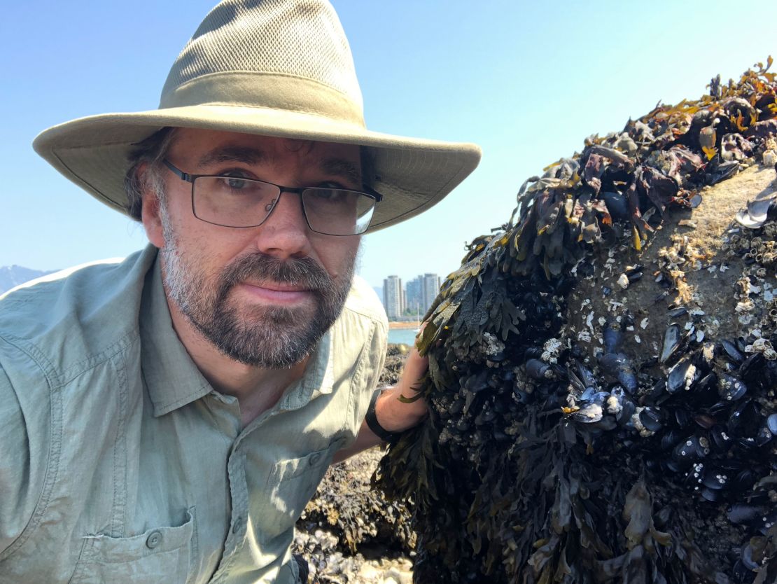 Christopher Harley estimates that a billion mussels, clams and other animals may have died from the heat.
