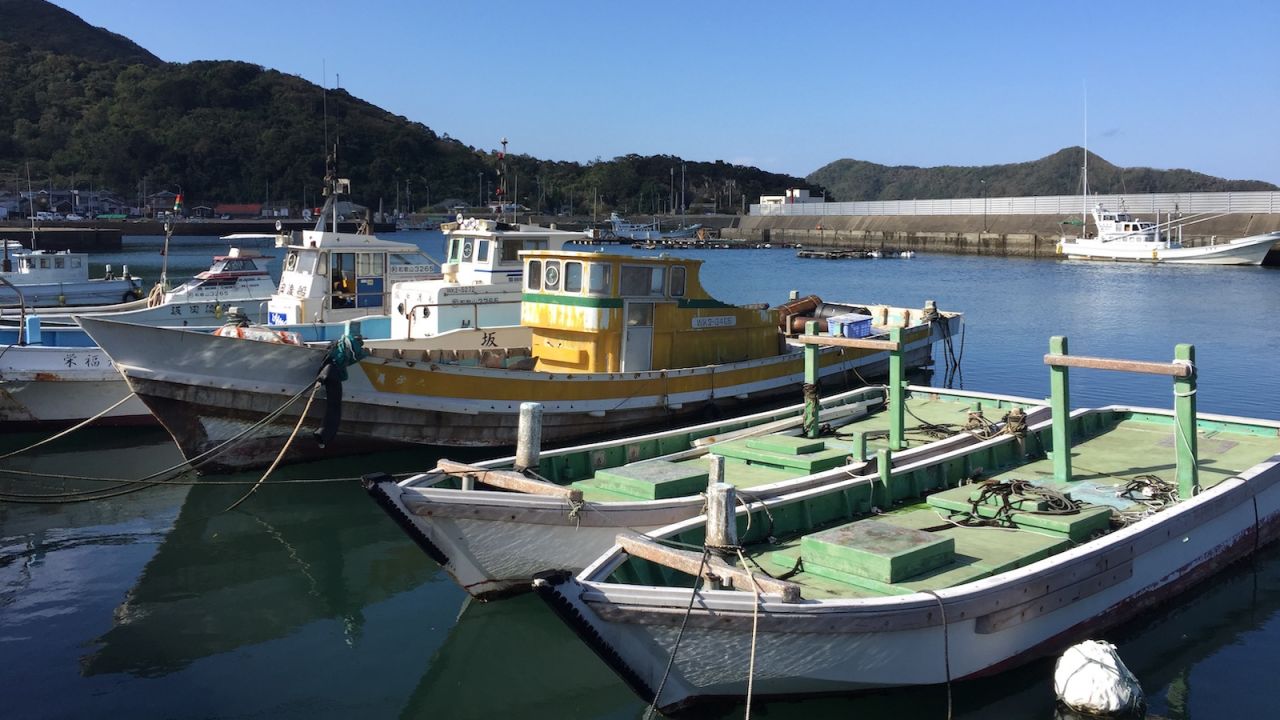 Ena is a tiny fishing village in Japan's Wakayama prefecture.