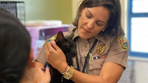 Binx was found near the site of the collapse.
